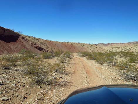 Gold Butte Wash Road