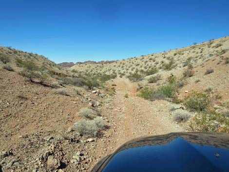 Gold Butte Wash Road