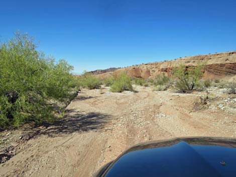 Gold Butte Wash Road