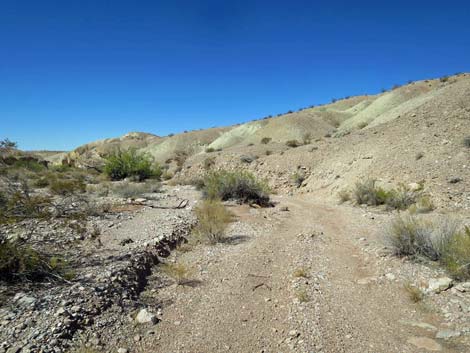 Gold Butte Wash Road