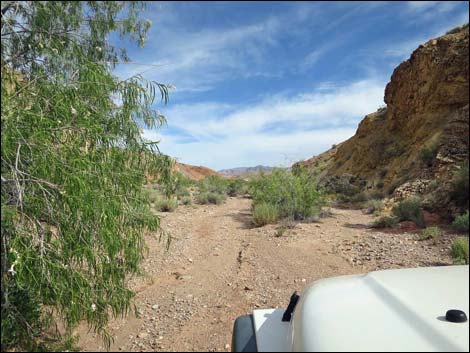 Gold Butte Wash Road