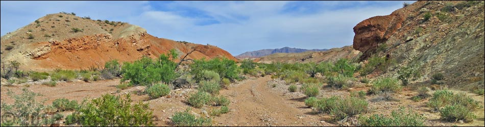 Gold Butte Wash Road