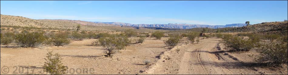 Greasewood Basin West Road