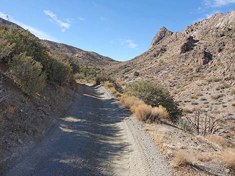 Hen Spring Canyon Road