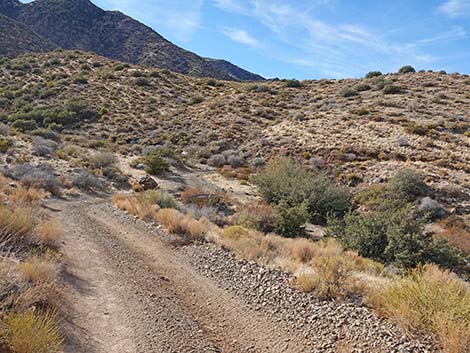 Hen Spring Canyon Road