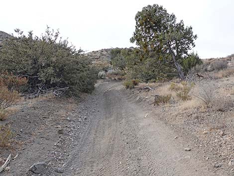 Hen Spring Canyon Road