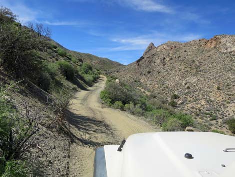 Hen Spring Canyon Road