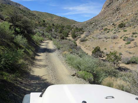 Hen Spring Canyon Road