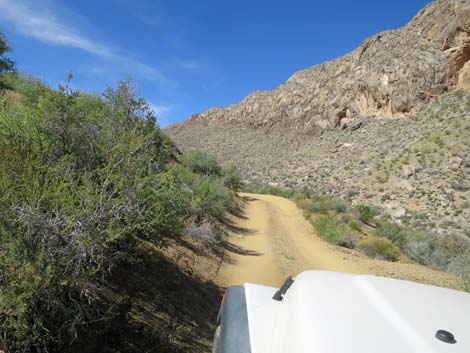 Hen Spring Canyon Road