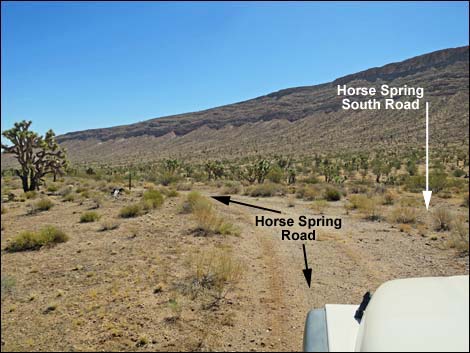 Horse Spring Road