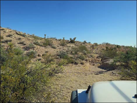 Horse Spring Road