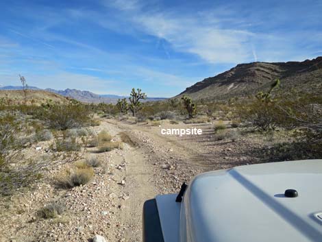 Horse Spring Road