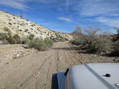 Horse Spring Road