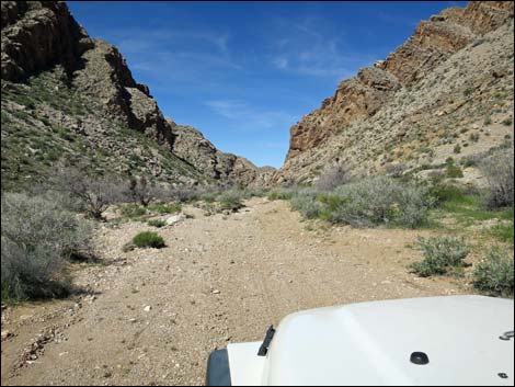 Lime Canyon Road