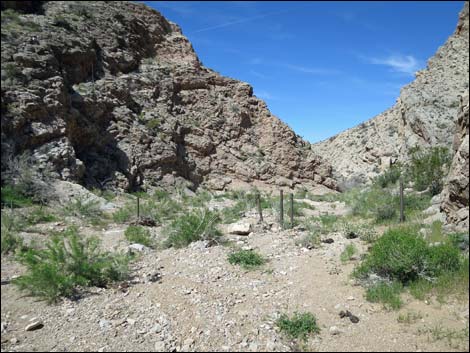 Lime Canyon Road