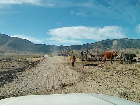 Lime Kiln Canyon Road