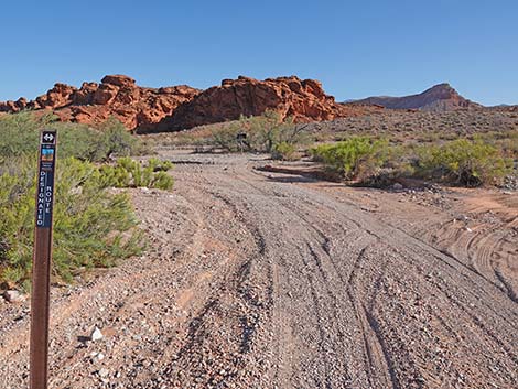 Mud Wash Shortcut Road