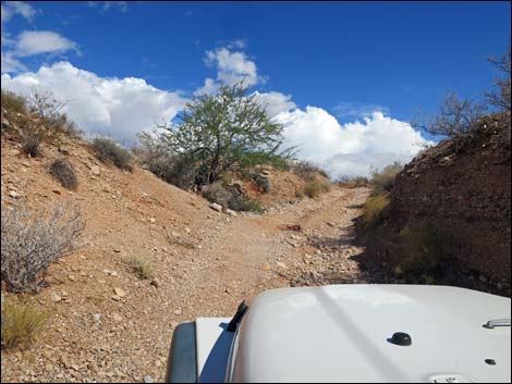 Mud Wash Shortcut Road