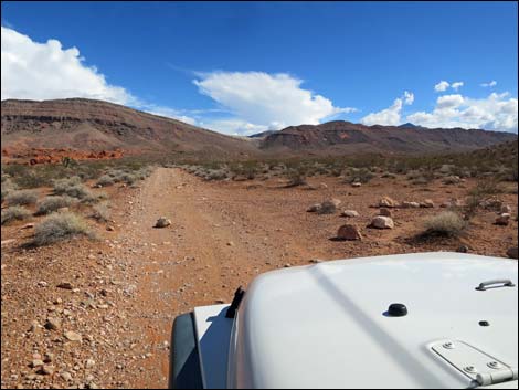 Mud Wash Shortcut Road