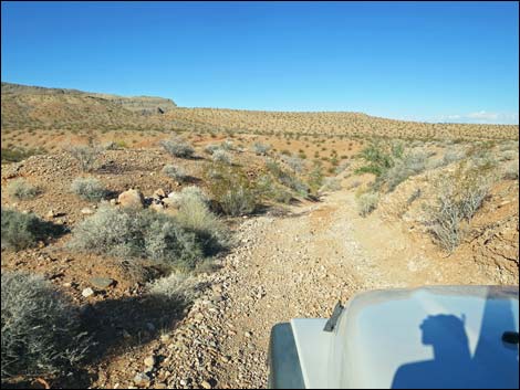 Mud Wash Shortcut Road