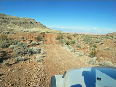 Mud Wash Shortcut Road