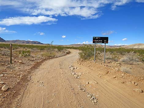 Mud Wash Road