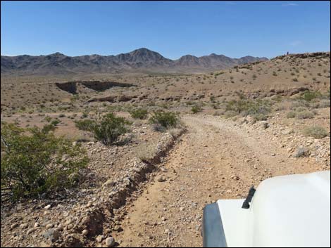 Narrows Road North