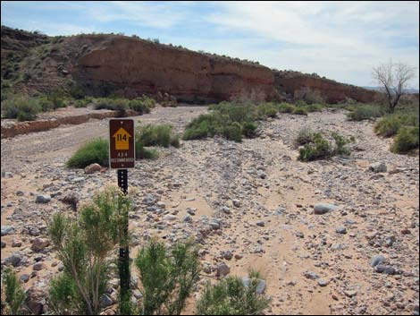 Narrows Road North