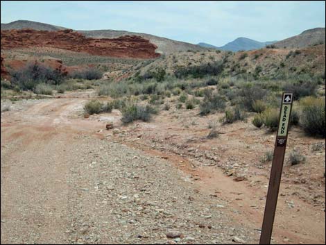 Red Rock Springs Road