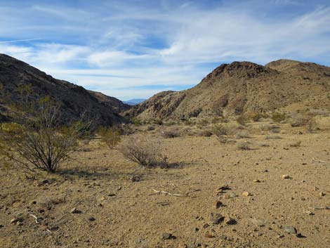 Rattlesnake Wash Road