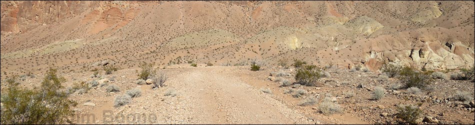 Red Bluff Spring Road