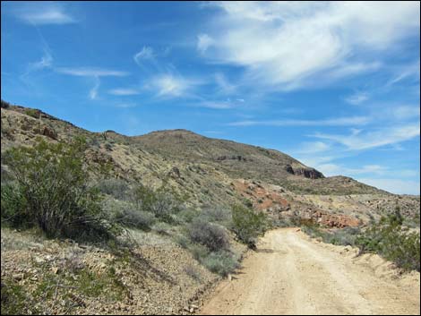 Red Bluff Spring Road