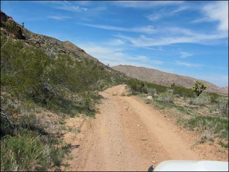 Red Bluff Spring Road