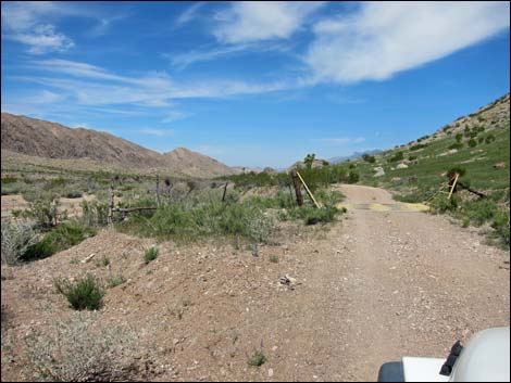 Red Bluff Spring Road