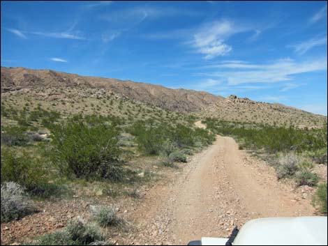 Red Bluff Spring Road