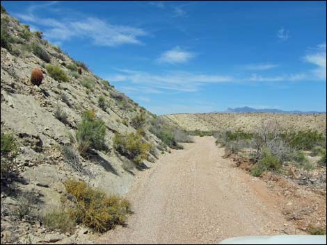 Red Bluff Spring Road