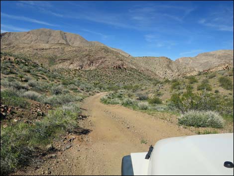 Red Bluff Spring Road