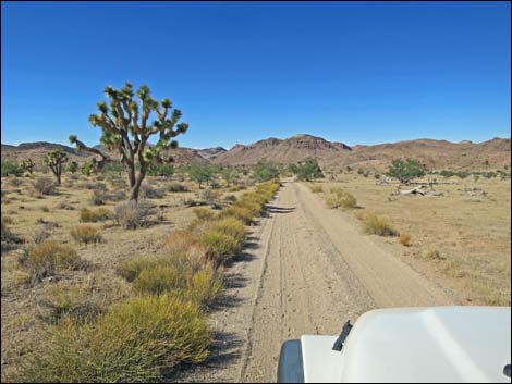 Red Bluff Spring Road