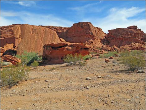 Red Bluff Spring Road