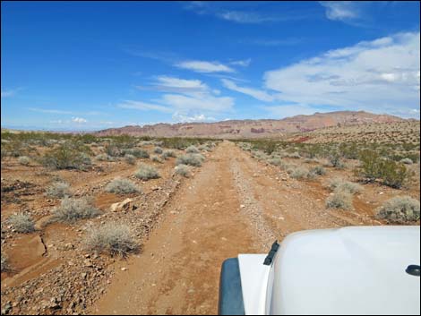 Red Bluff Spring Road