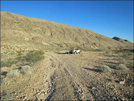 Red Bluff Spring Road