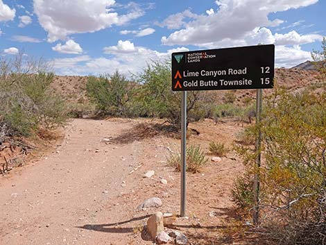 Red Bluff Spring Road