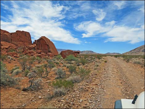 Red Bluff Spring Road