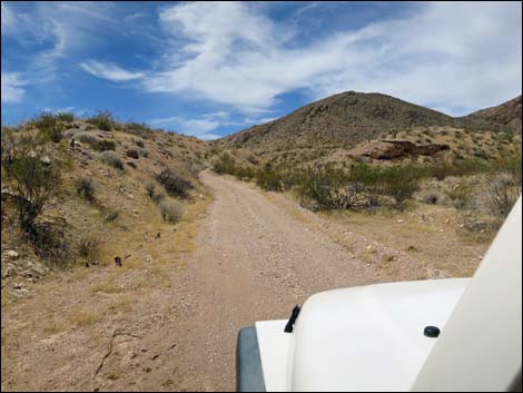 Red Bluff Spring Road