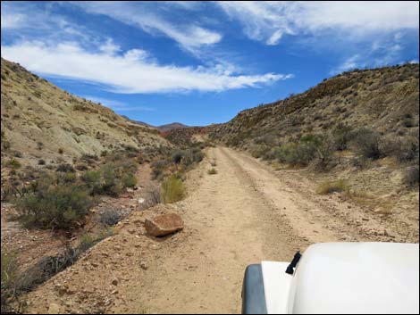 Red Bluff Spring Road