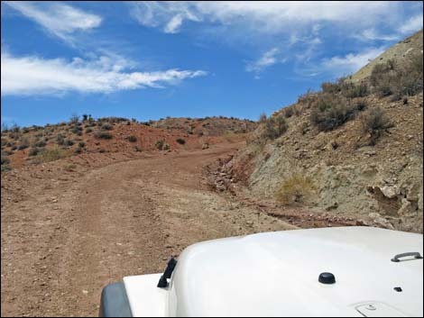 Red Bluff Spring Road