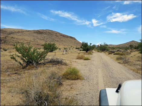 Red Bluff Spring Road