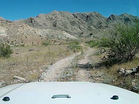 Tramp Mine Road