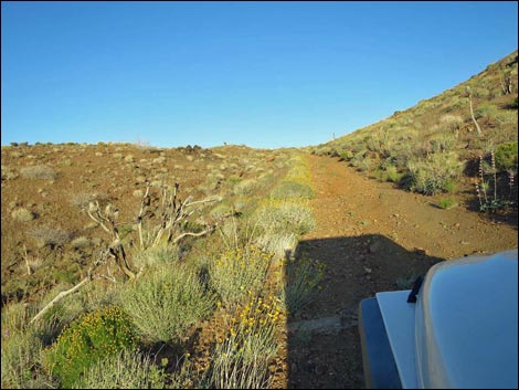 Mica Mine Road