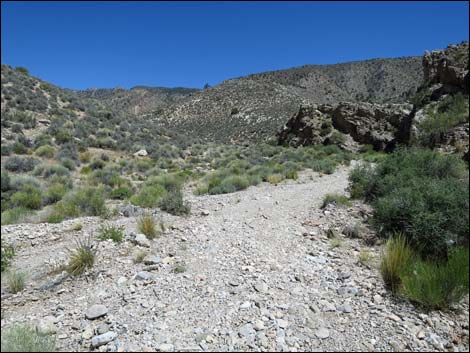 Virgin Peak Road